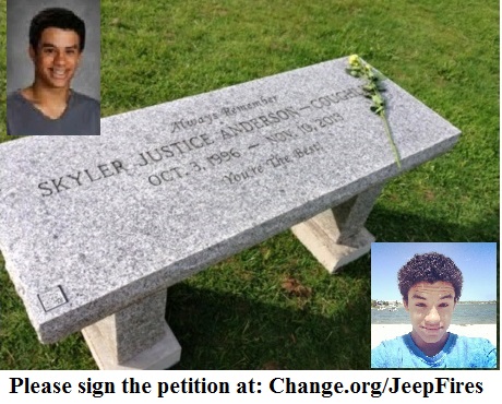 Skylers Collage With Petition Info
